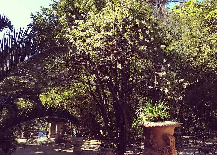 Hotel La Maison Blanche Montpellier